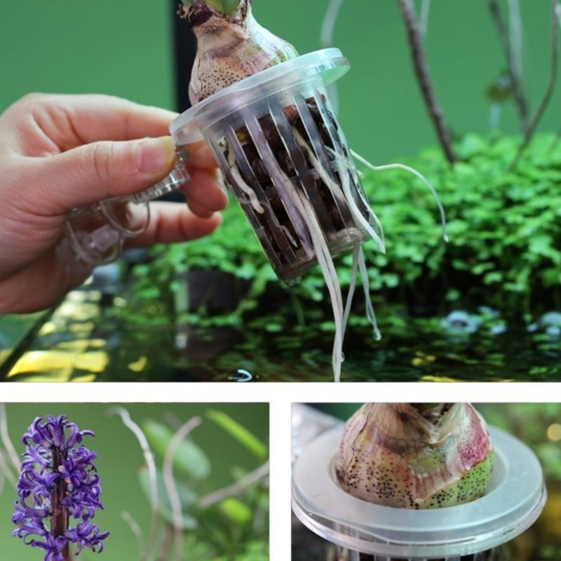 Aquariums Plant Stand Plant Cu - đánh giá và giá Emersed Plants Aquarium