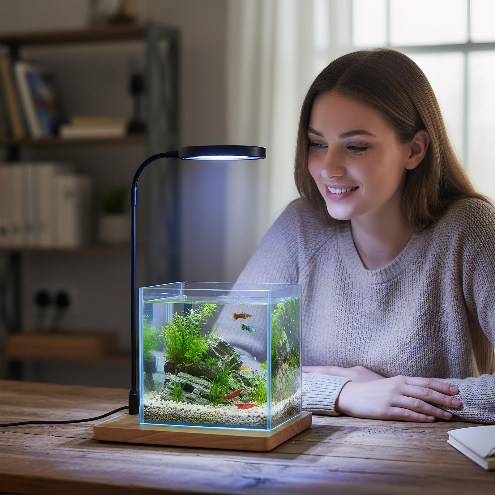 Plant Lights For Indoor Growin - đánh giá và giá Aquarium Plant On Wood