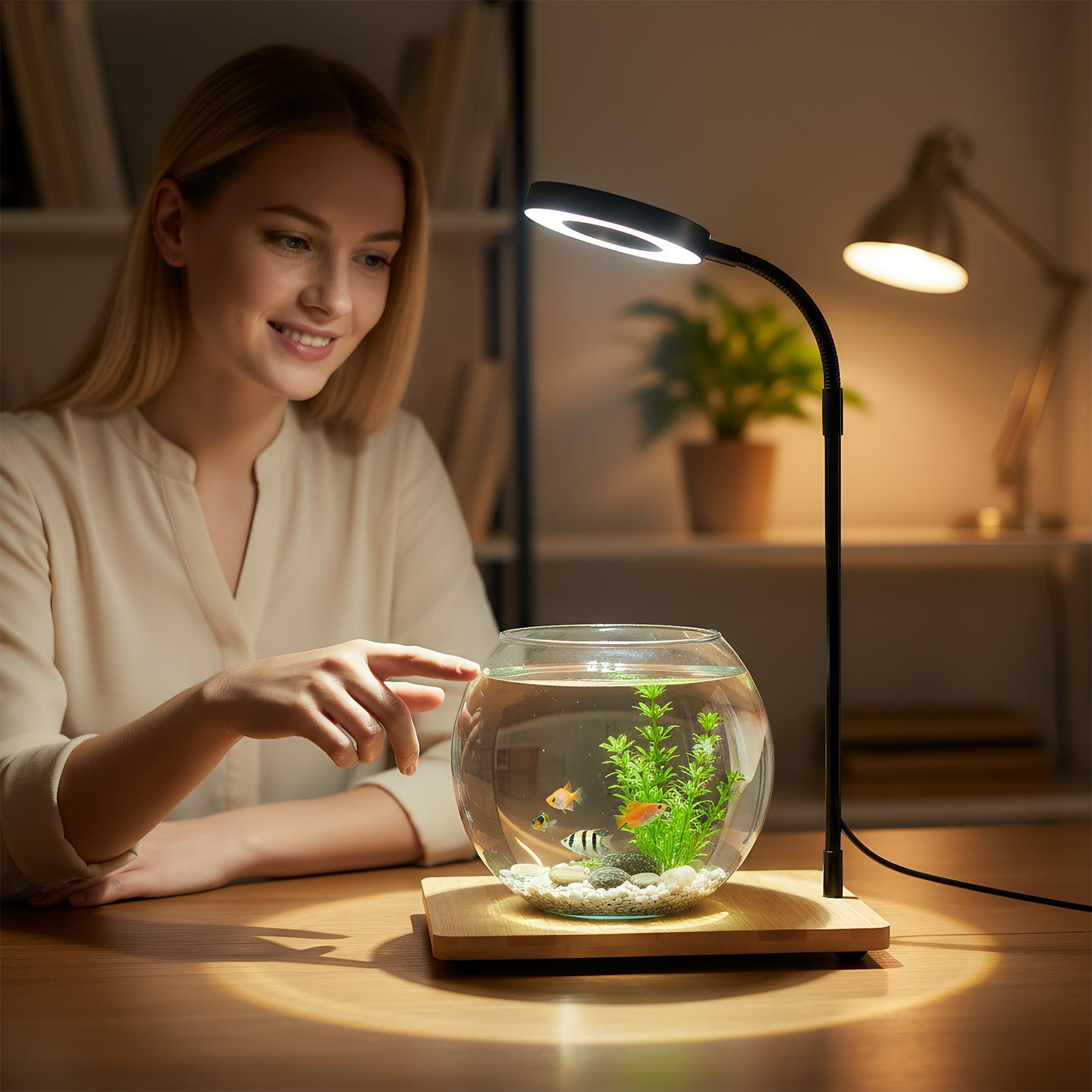 Plant Lights For Indoor Growin - đánh giá và giá Aquarium Plant On Wood