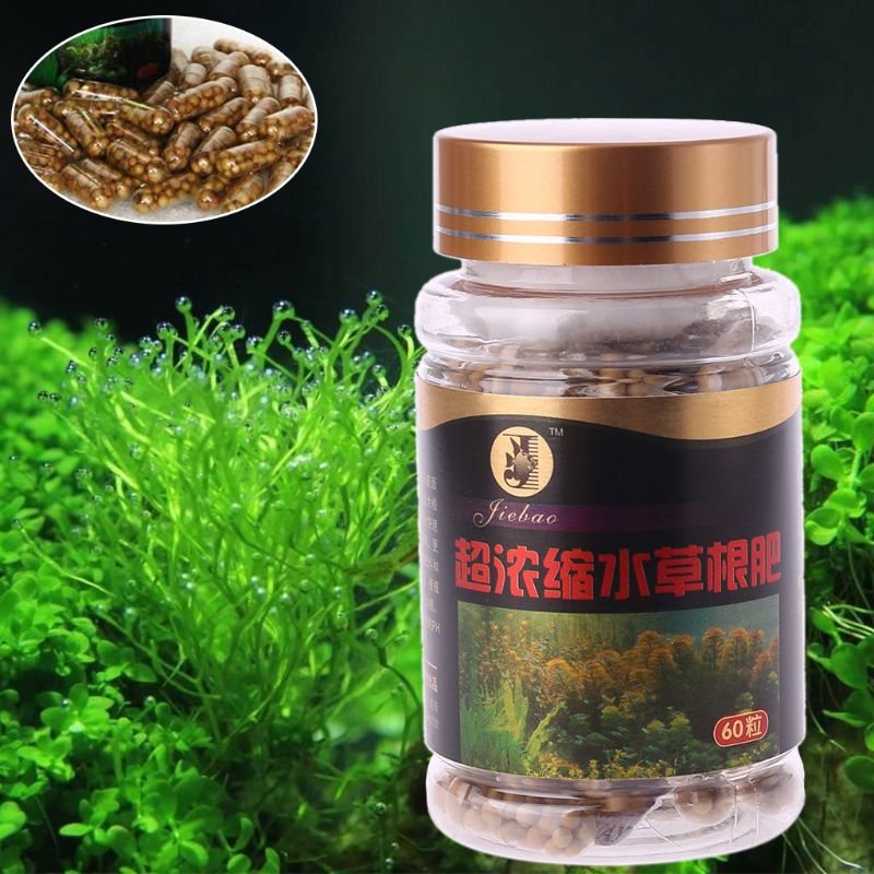 60 viên nang rễ cây thủy sinh  - đánh giá và giá Aquarium Plant Root Fertilizer