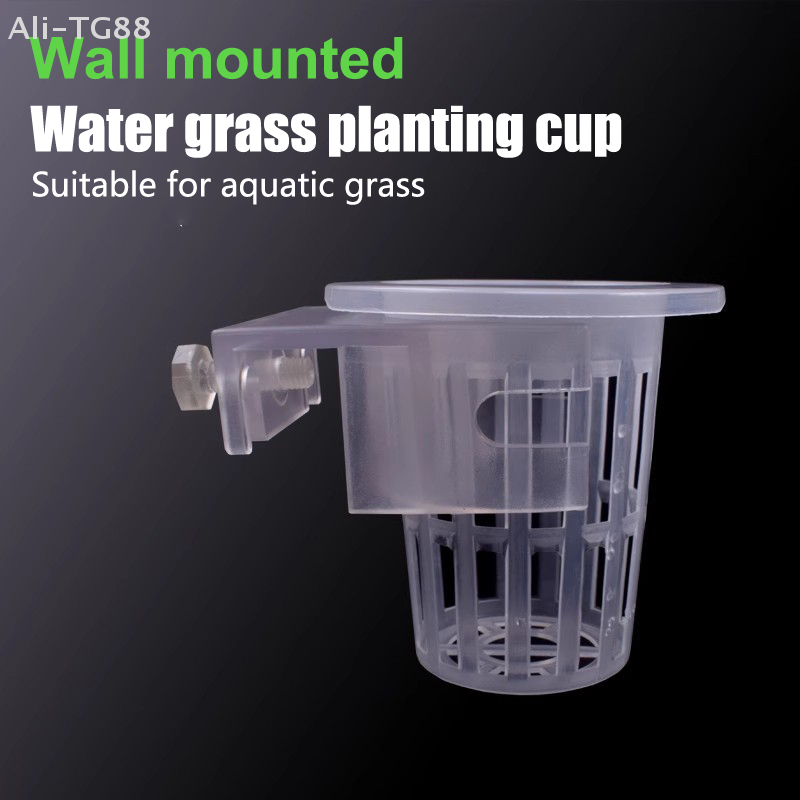 Hanging Aquarium Plant Holder  - đánh giá và giá Emersed Plants Aquarium